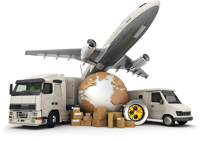 Balena - COMMERCIAL AND CHARTER