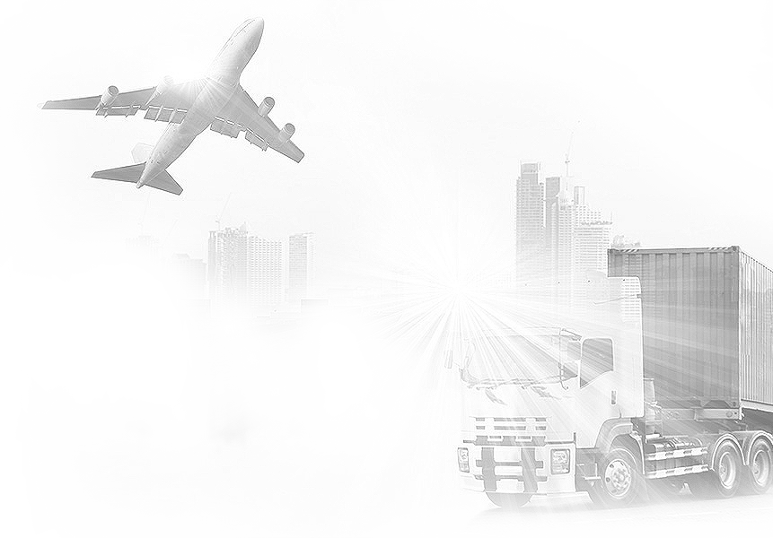 Balena - COMMERCIAL AND CHARTER